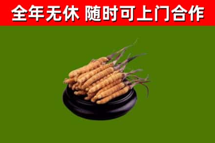 涵江区烟酒回收冬虫夏草.jpg